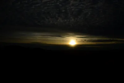 DSC_3111 (Large).JPG